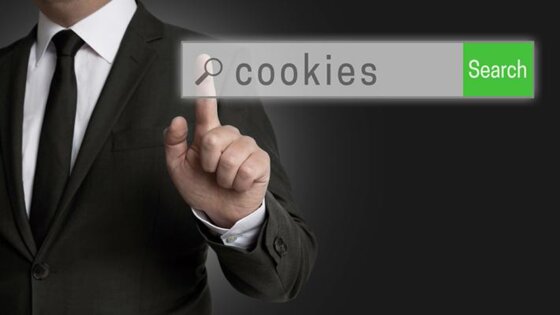 Cookies policy, secondo il Regolamento UE 679/2016